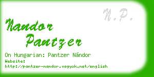 nandor pantzer business card